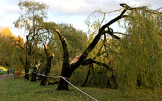 Nawałnica w Olsztynie i regionie: połamane drzewa, uszkodzone samochody i dachy. W kraju ofiary śmiertelne